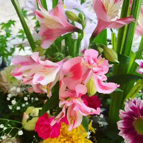 滑川神社 - 仕事と子どもの守り神の手水舎