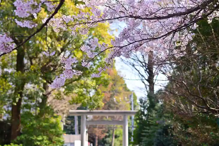 阿佐ヶ谷神明宮(東京都)