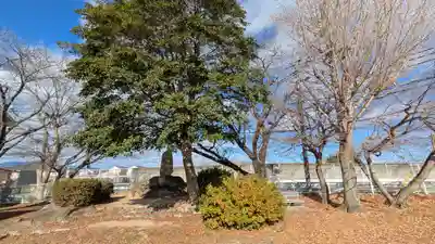 瀬田廃寺跡(滋賀県)