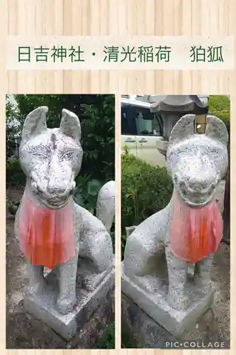 岡山神社の狛犬