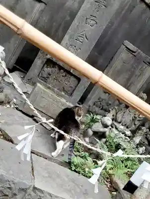 小野照崎神社(東京都)