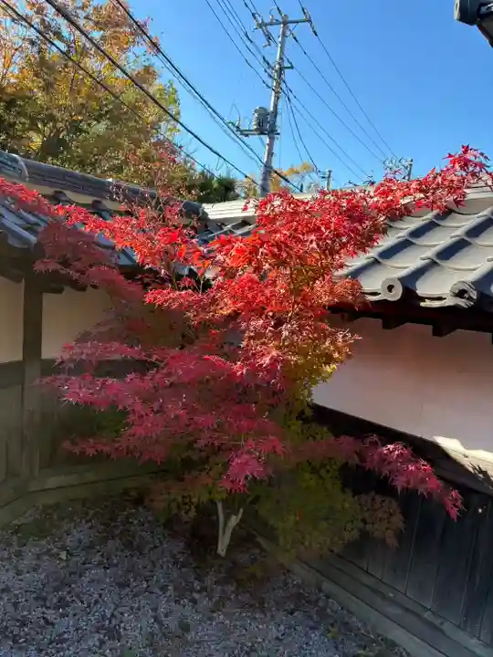 心行寺(神奈川県)