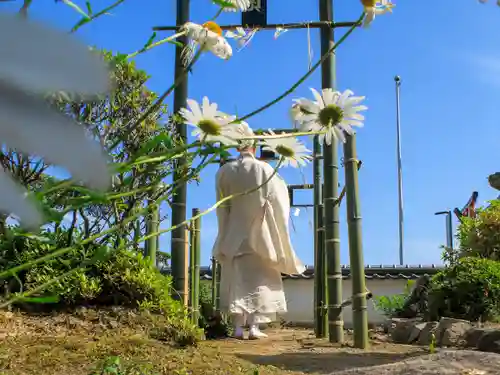 神谷稲荷明神社の自然