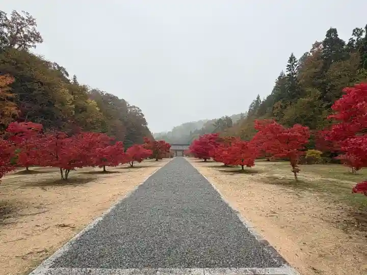 光信寺(広島県)