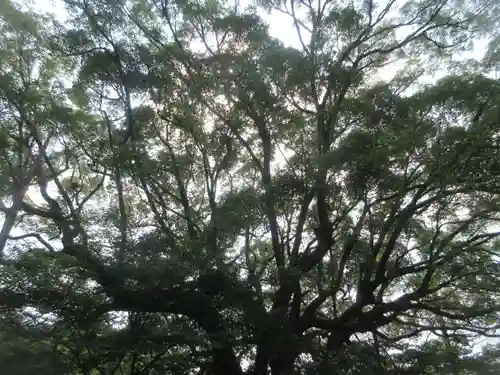 瀧山寺(愛知県)