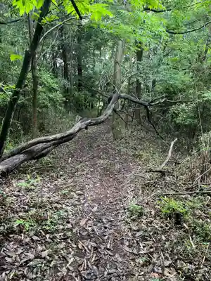 賀茂別雷神社(栃木県)