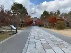 仁和寺の建物その他