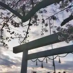 神明社（国府宮神明社）の鳥居