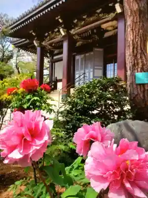 圓照寺(東京都)