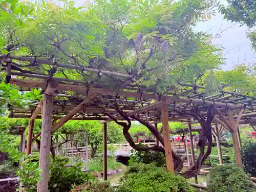 亀戸天神社の{uncategorized: "未分類", other: "その他", undefined: "問題あり", building: "その他建物", grave: "お墓", sacred_gate: "鳥居", guardian: "狛犬", statue: "像", buddha: "仏像", history: "歴史", nature: "自然", garden: "庭園", animal: "動物", pagoda: "塔", temizu: "手水舎", mountain_gate: "山門・神門", sanctuary: "本殿・本堂", subordinate: "末社・摂社", art: "芸術", scenery: "景色", jizo: "地蔵", ema: "絵馬", goshuin: "御朱印", omikuji: "おみくじ", items: "授与品その他", amulet: "お守り", goshuincho: "御朱印帳", eats: "食事", festival: "お祭り", votive_dance: "神楽", shichigosan: "七五三参", wedding: "結婚式", experience: "体験その他", initially: "初詣", around: "周辺", anti_infection: "感染症対策"}