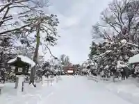 北海道護國神社の景色