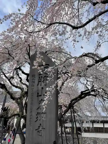 東郷寺(東京都)