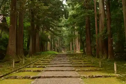 平泉寺白山神社(福井県)