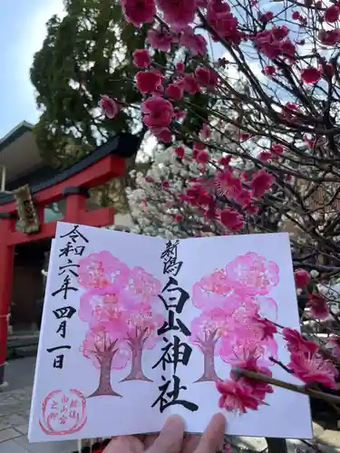 白山神社の御朱印