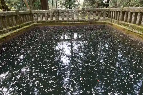 室生寺の庭園