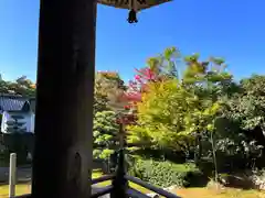 勝林寺(京都府)