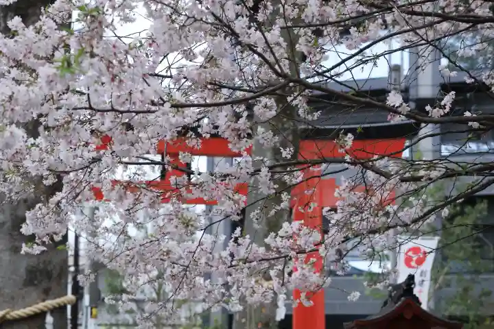 川越八幡宮の{uncategorized: "未分類", other: "その他", undefined: "問題あり", building: "その他建物", grave: "お墓", sacred_gate: "鳥居", guardian: "狛犬", statue: "像", buddha: "仏像", history: "歴史", nature: "自然", garden: "庭園", animal: "動物", pagoda: "塔", temizu: "手水舎", mountain_gate: "山門・神門", sanctuary: "本殿・本堂", subordinate: "末社・摂社", art: "芸術", scenery: "景色", jizo: "地蔵", ema: "絵馬", goshuin: "御朱印", omikuji: "おみくじ", items: "授与品その他", amulet: "お守り", goshuincho: "御朱印帳", eats: "食事", festival: "お祭り", votive_dance: "神楽", shichigosan: "七五三参", wedding: "結婚式", experience: "体験その他", initially: "初詣", around: "周辺", anti_infection: "感染症対策"}