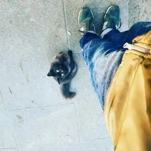 息栖神社の動物