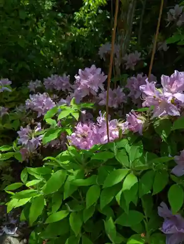 光明寺（粟生光明寺）(京都府)