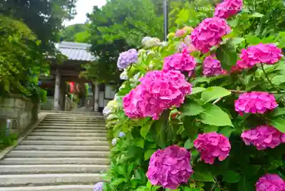 岩殿寺(神奈川県)