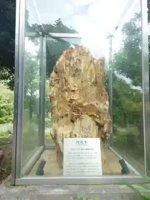 よみうりランド観音(東京都)