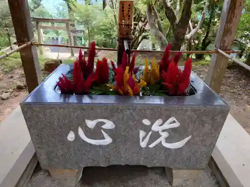 坂本八幡神社(徳島県)