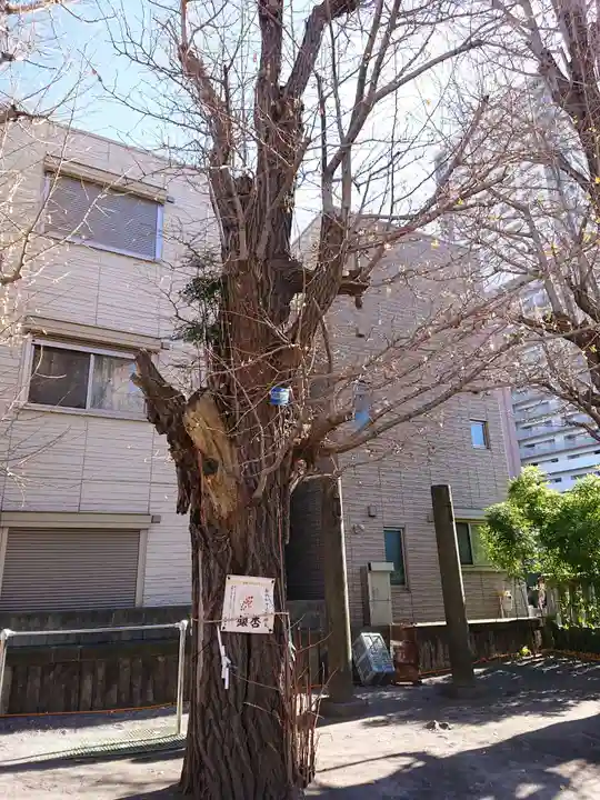 女躰大神の自然