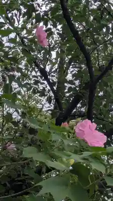 建仁寺（建仁禅寺）(京都府)