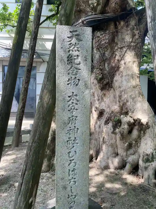 太宰府天満宮(福岡県)