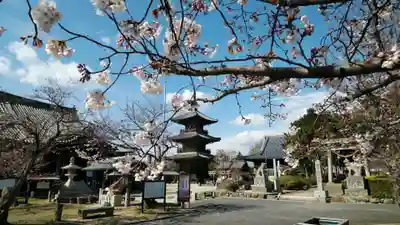 餘慶寺のその他建物