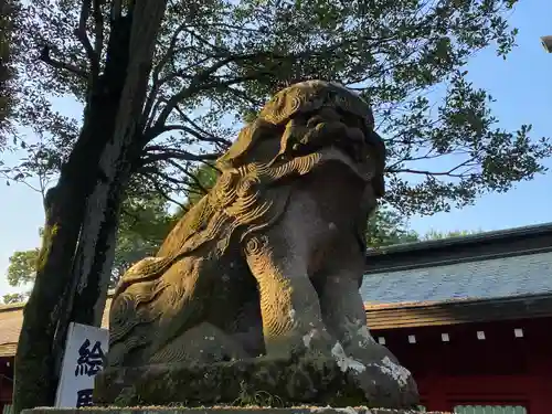 大國魂神社の狛犬