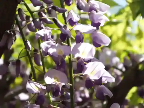 志那神社のその他建物