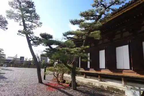 蓮華王院（三十三間堂）の本殿・本堂