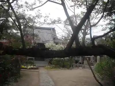 教恩寺のその他建物