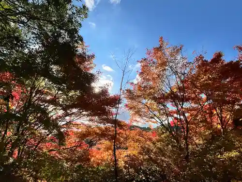 弘川寺(大阪府)