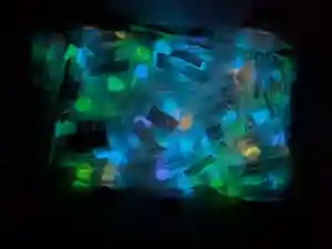 玉眞院玉川大師(東京都)(2025年08月05日(火) 17時49分33秒投稿)