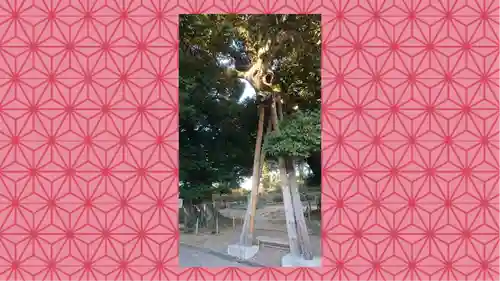 九重神社(埼玉県)