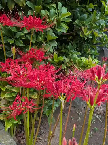 福寿院(東京都)