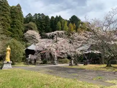 成願寺(千葉県)