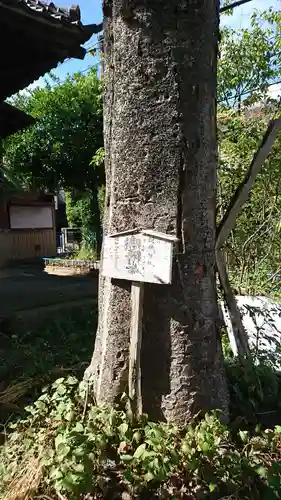 胡禄神社の自然