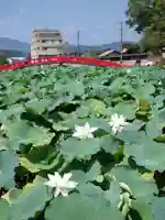 青井阿蘇神社(熊本県)