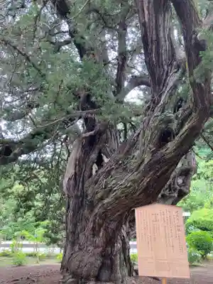 建長寺(神奈川県)
