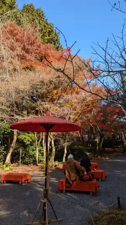 常照寺(京都府)