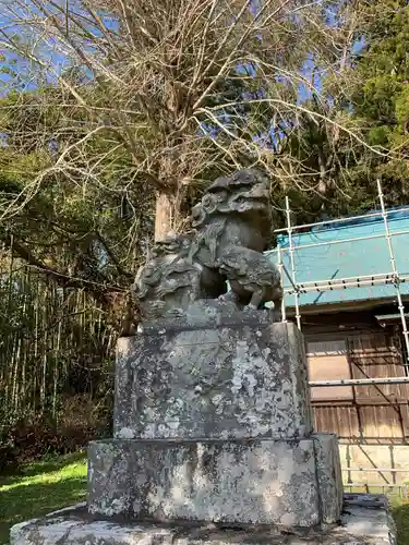 熊野神社の狛犬