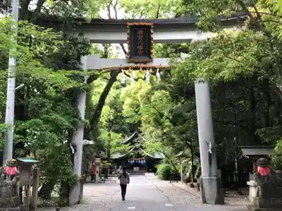 若宮八幡宮(高知県)