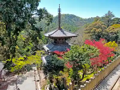 一乗寺のその他建物