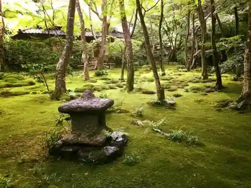 祇王寺の庭園