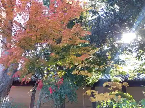 蓮華王院（三十三間堂）(京都府)