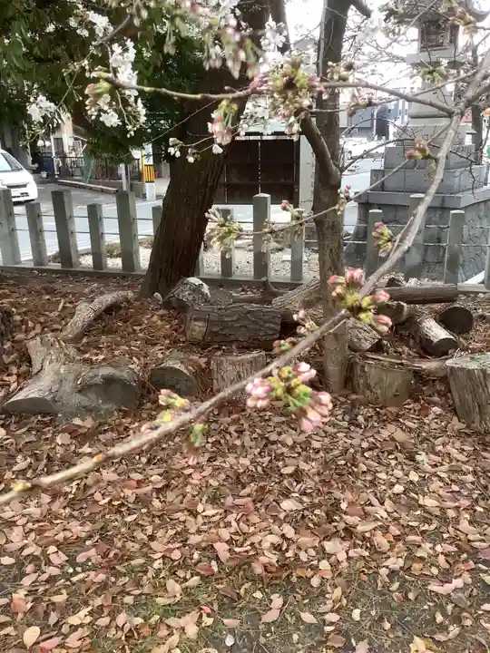七所神社の自然