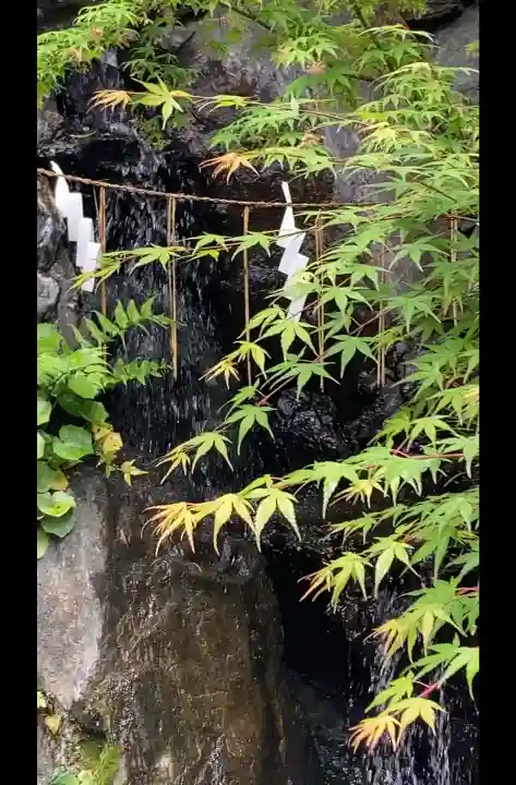 蛇窪神社の{uncategorized: "未分類", other: "その他", undefined: "問題あり", building: "その他建物", grave: "お墓", sacred_gate: "鳥居", guardian: "狛犬", statue: "像", buddha: "仏像", history: "歴史", nature: "自然", garden: "庭園", animal: "動物", pagoda: "塔", temizu: "手水舎", mountain_gate: "山門・神門", sanctuary: "本殿・本堂", subordinate: "末社・摂社", art: "芸術", scenery: "景色", jizo: "地蔵", ema: "絵馬", goshuin: "御朱印", omikuji: "おみくじ", items: "授与品その他", amulet: "お守り", goshuincho: "御朱印帳", eats: "食事", festival: "お祭り", votive_dance: "神楽", shichigosan: "七五三参", wedding: "結婚式", experience: "体験その他", initially: "初詣", around: "周辺", anti_infection: "感染症対策"}